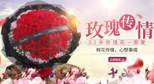 甘肃省庆阳环县秦团庄乡南掌堡子村鲜花速递